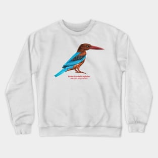 White-throated kingfisher | Halcyon smyrnensis Crewneck Sweatshirt